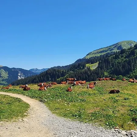 Letach - 'great Bike Park Access' Relax Around The Fire Pit, Mountain Retreat Chalet *