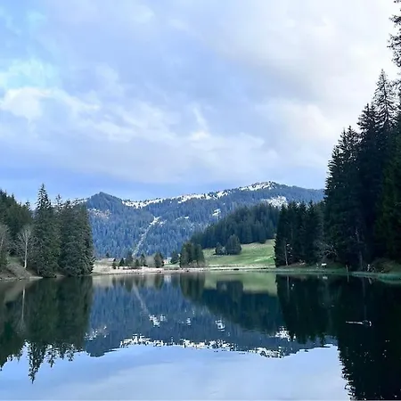 Letach - 'great Bike Park Access' Relax Around The Fire Pit, Mountain Retreat Chatel